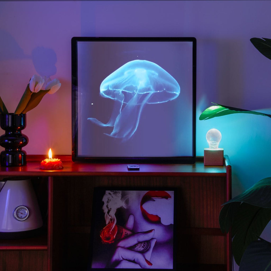 3D Hologram LED Fan With Frame Supports APP & Bluetooth Connectivity - ZEXO 
