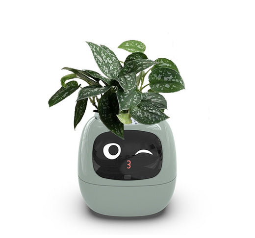 Smart Plant Robot - Automatic Watering & Care Assistant for Indoor Plants - ZEXO 